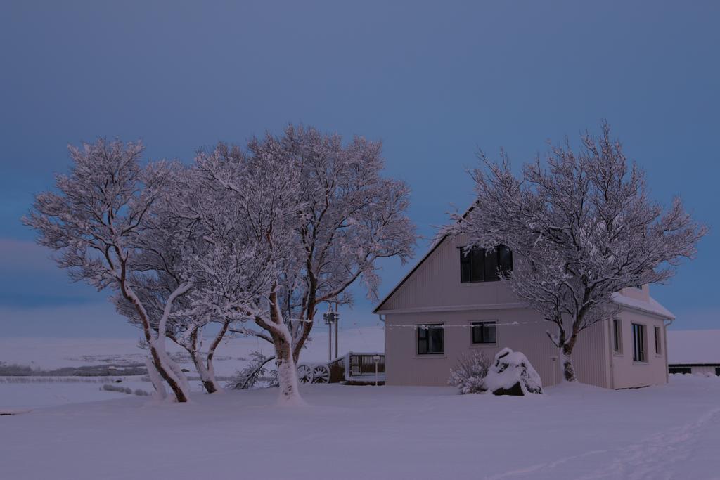 Guesthouse Steindorsstadir, West Iceland 레이크홀트 외부 사진