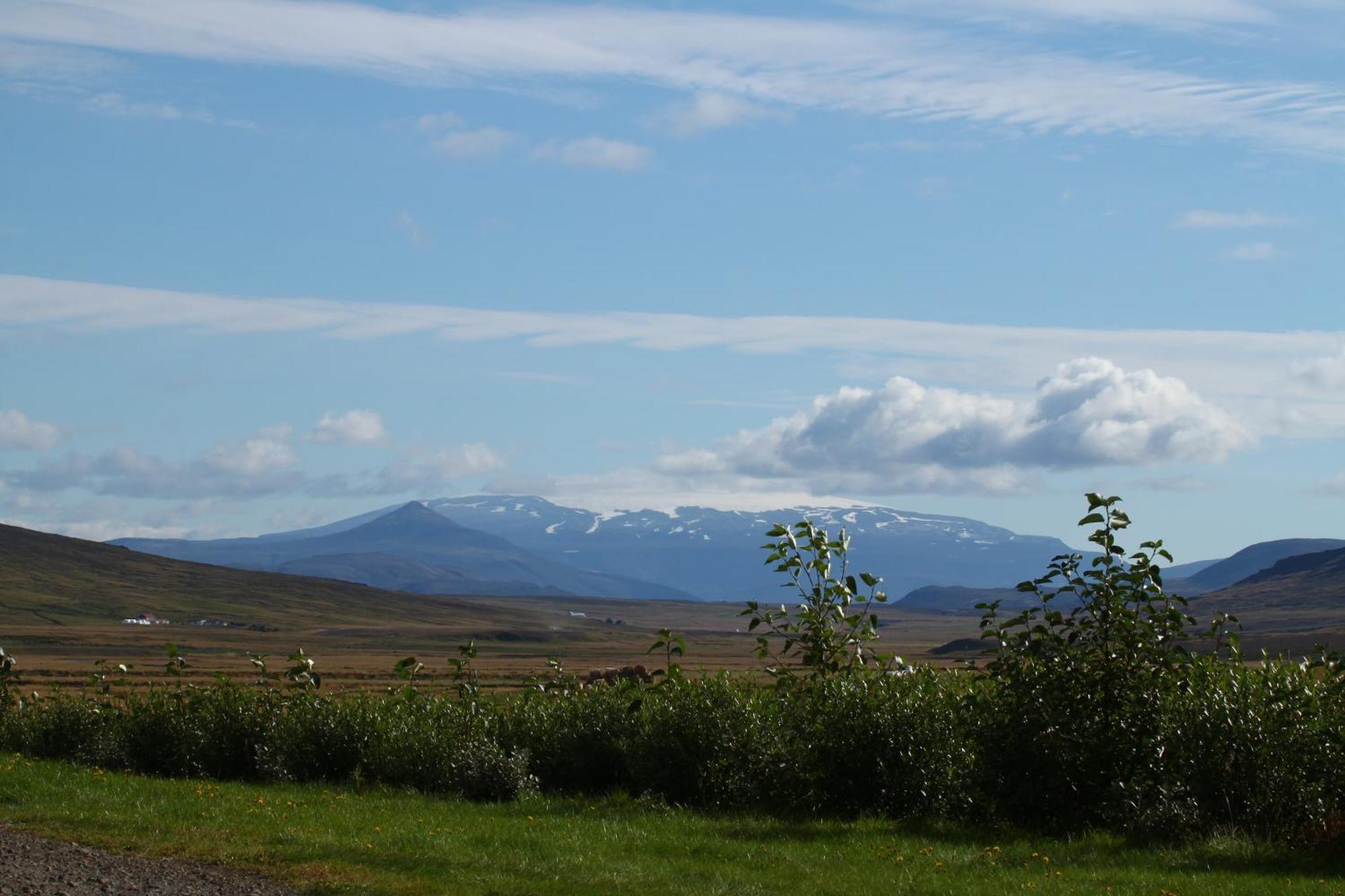 Guesthouse Steindorsstadir, West Iceland 레이크홀트 외부 사진