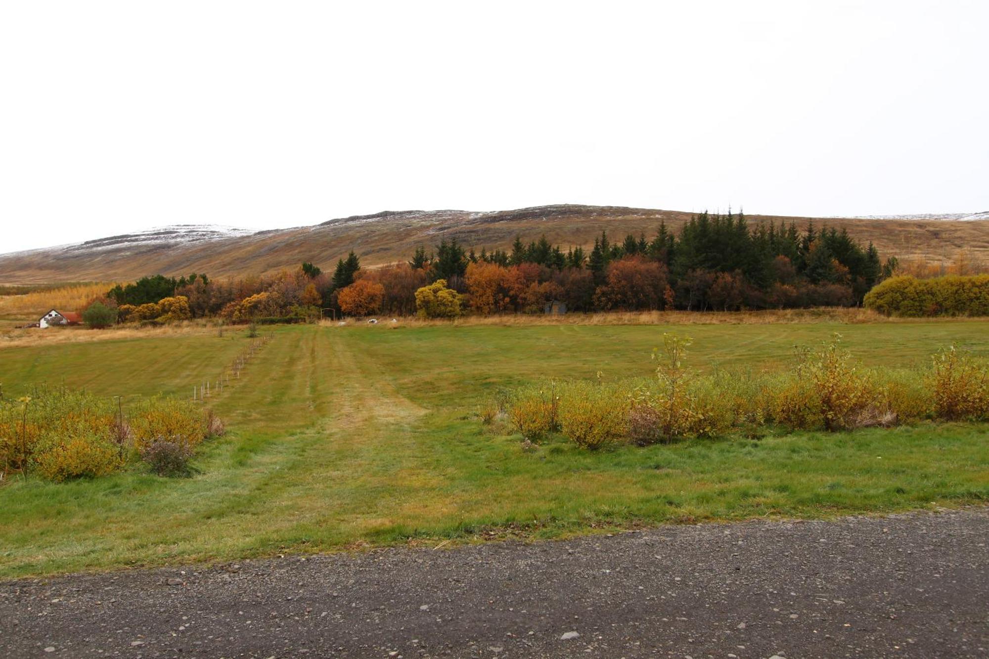 Guesthouse Steindorsstadir, West Iceland 레이크홀트 외부 사진