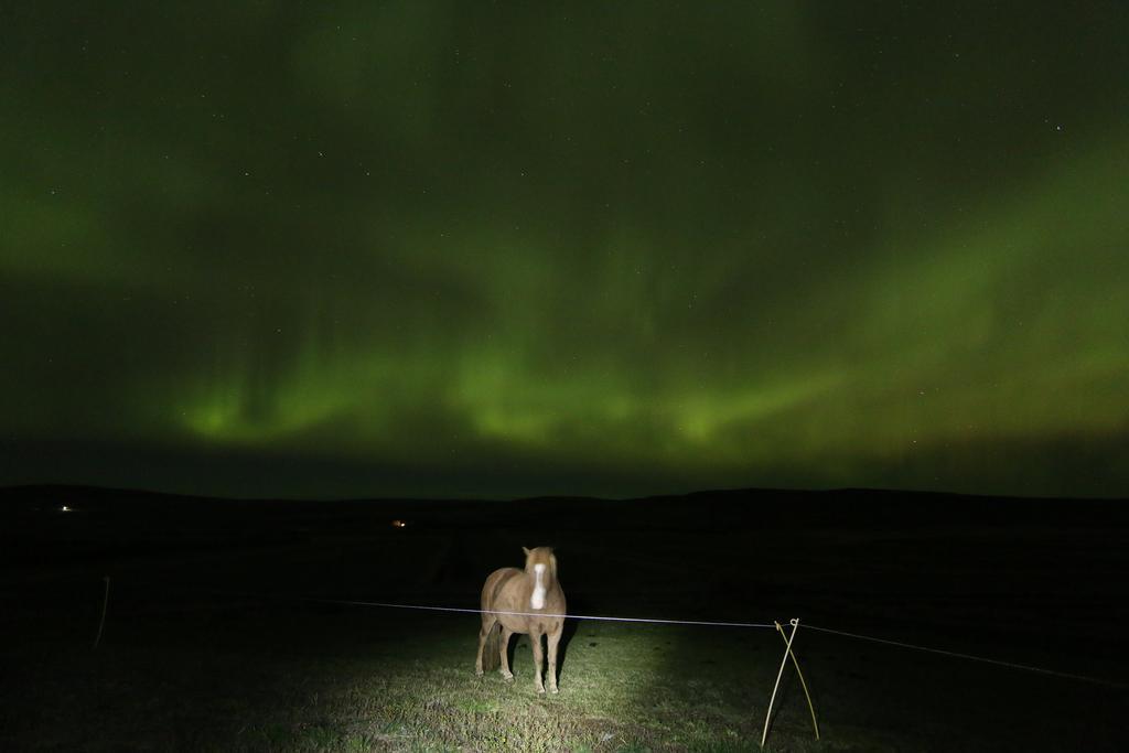 Guesthouse Steindorsstadir, West Iceland 레이크홀트 외부 사진